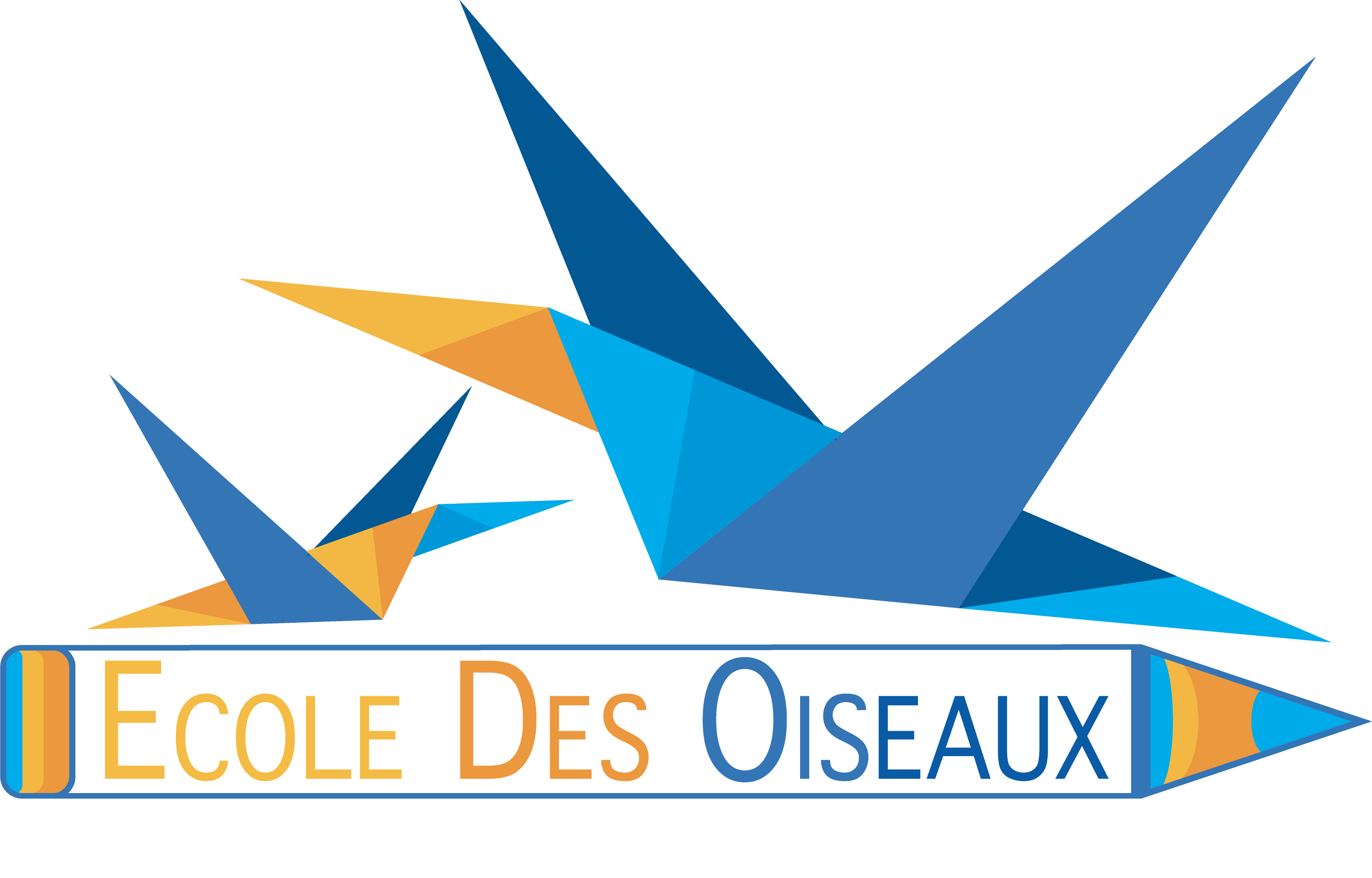 Ecole Des Oiseaux